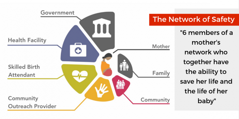 picture of One Health World-Wide's model of care, The Network of Safety